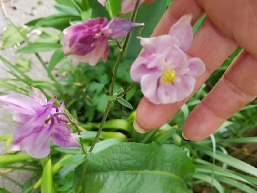  - Caldaruse 2020-2023