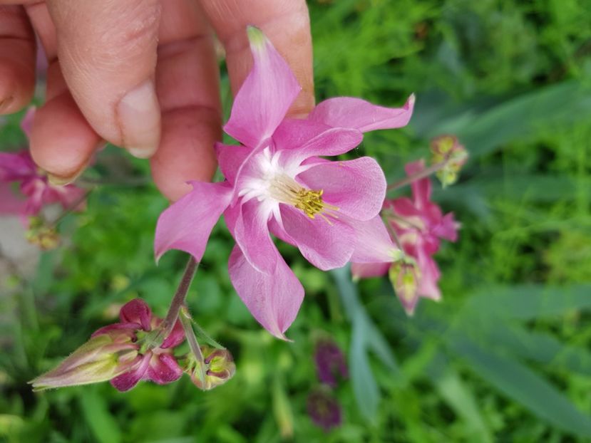  - Caldaruse 2020-2023