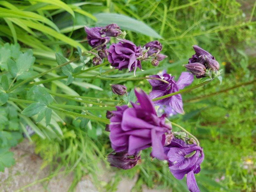  - Caldaruse 2020-2023