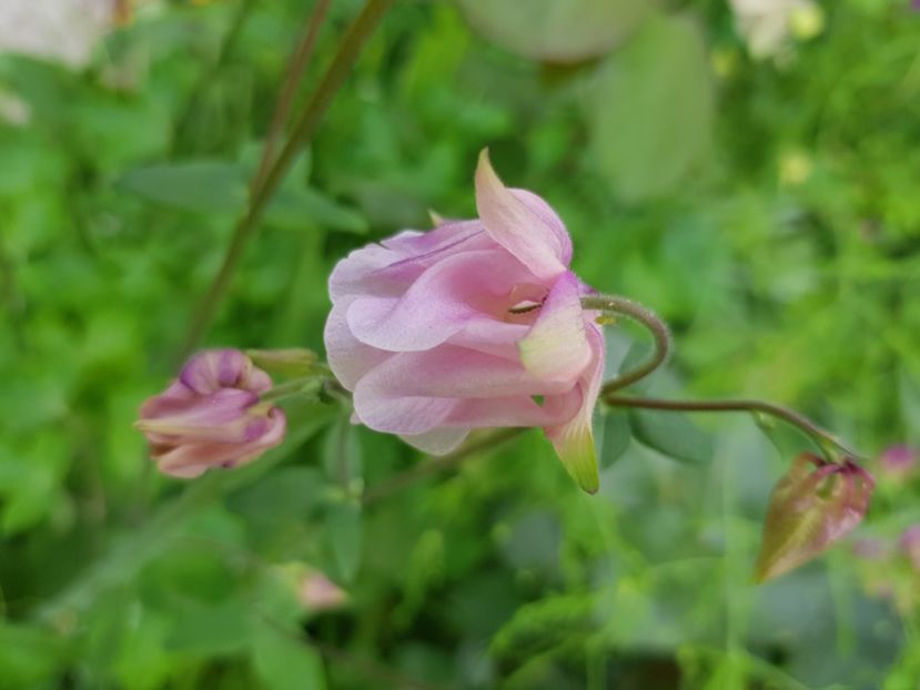  - Caldaruse 2020-2023