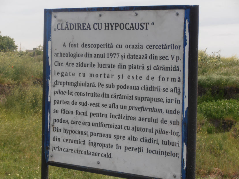 P5080118 - Dunare - Mai 2021