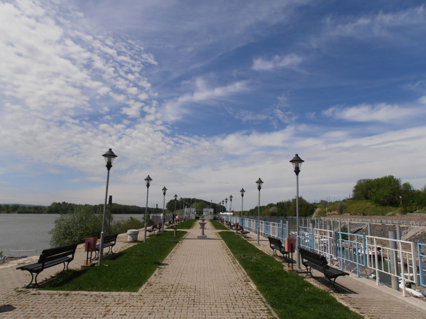 P5080179 - Dunare - Mai 2021