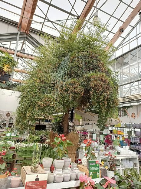 12.05.2021 - Magazinul