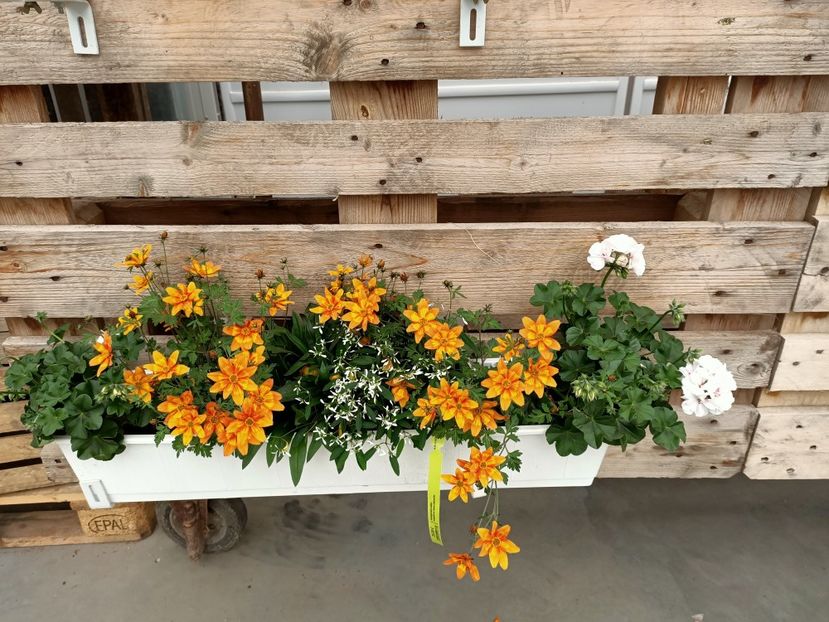 12.05.2021- model jardinieră - Magazinul