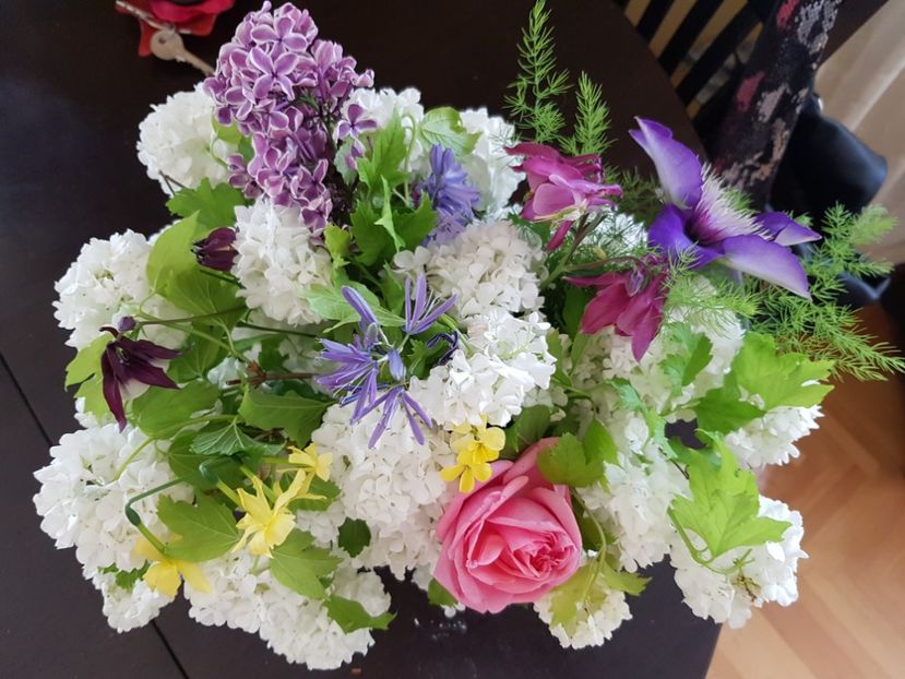  - Arbuști 2021-2023