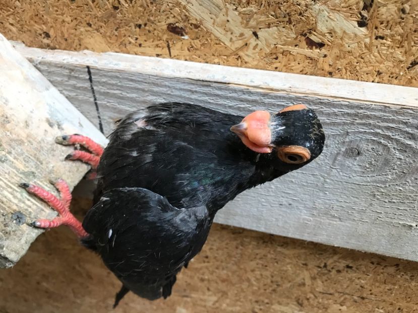 AC017975-6A98-496A-901B-5866CF157A1D - Tineret 2021