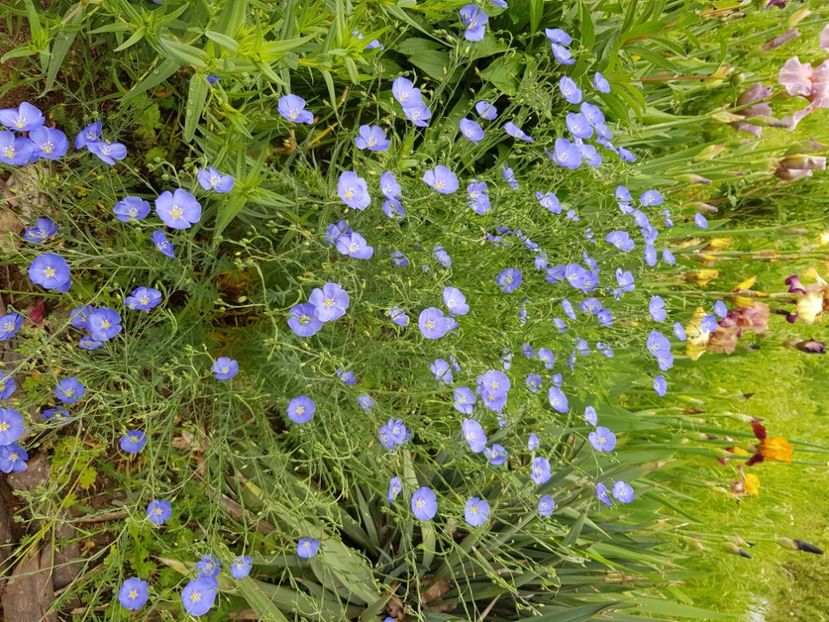  - Martie 2021 aprilie 22