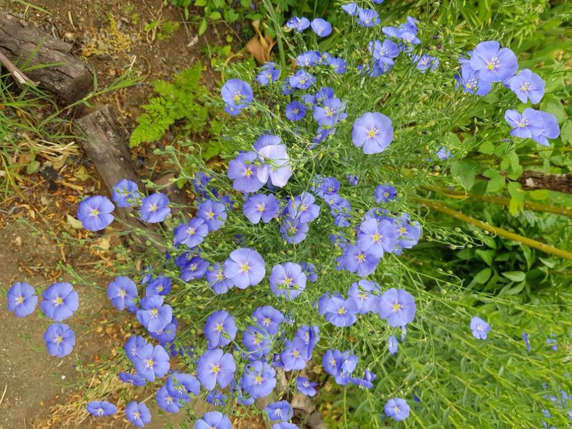  - Martie 2021 aprilie 22