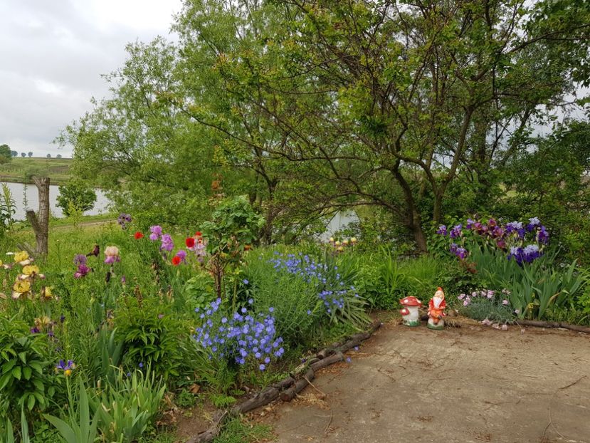  - Martie 2021 aprilie 22