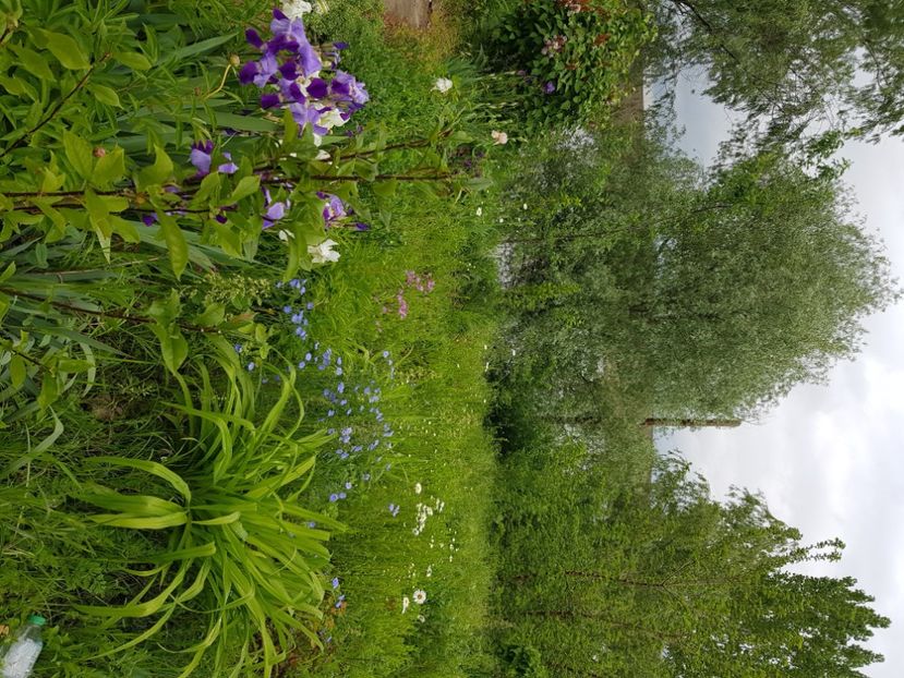  - Martie 2021 aprilie 22