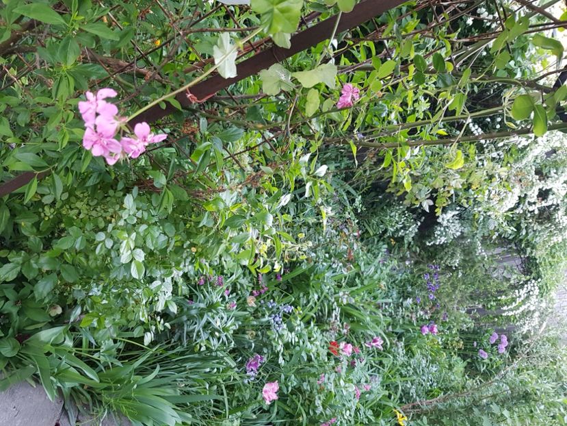  - Martie 2021 aprilie 22