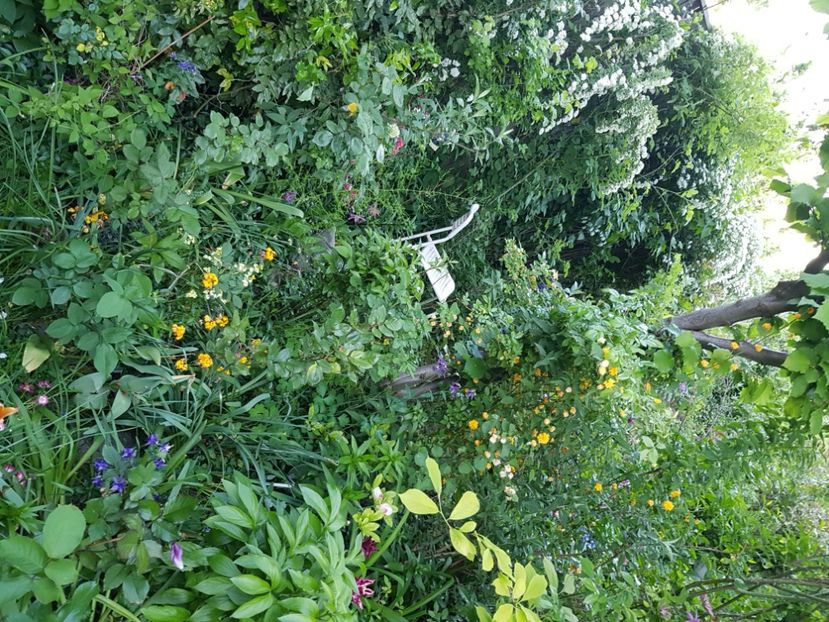  - Martie 2021 aprilie 22