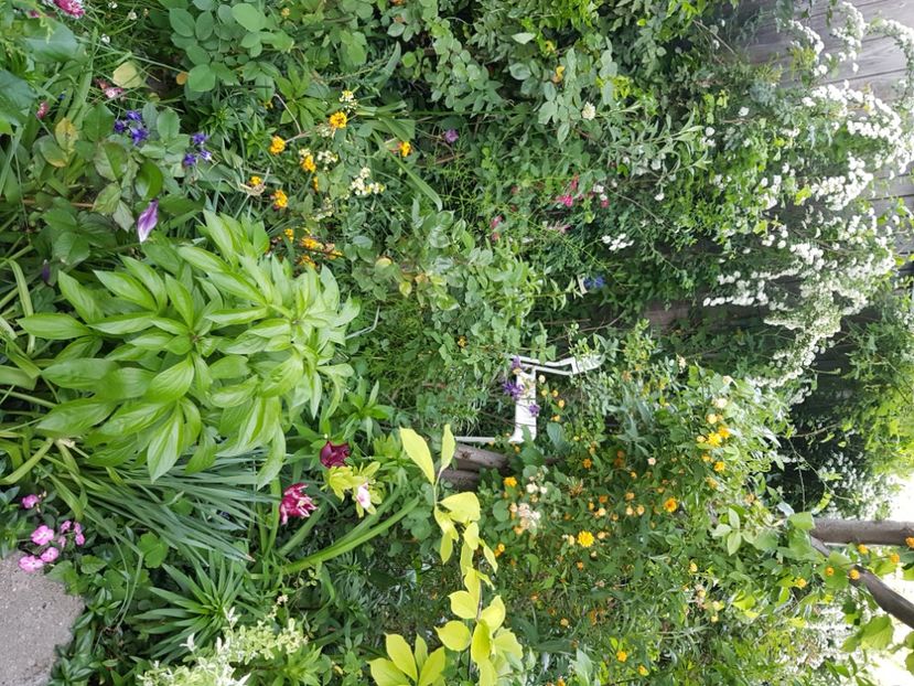  - Martie 2021 aprilie 22