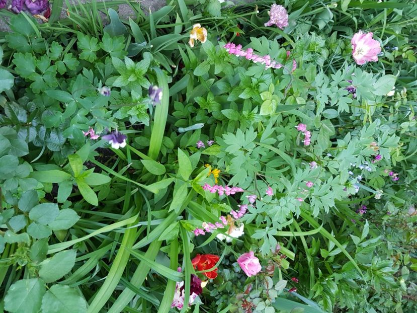  - Martie 2021 aprilie 22