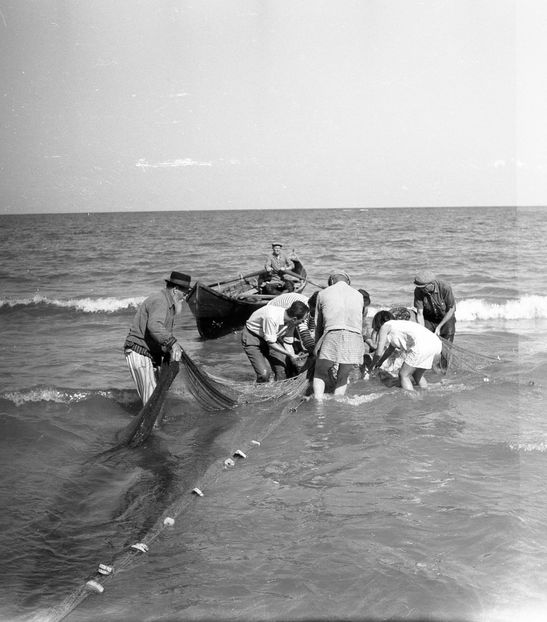 Tarmul N-are Sfarsit - Tarmul N-are Sfarsit 1962