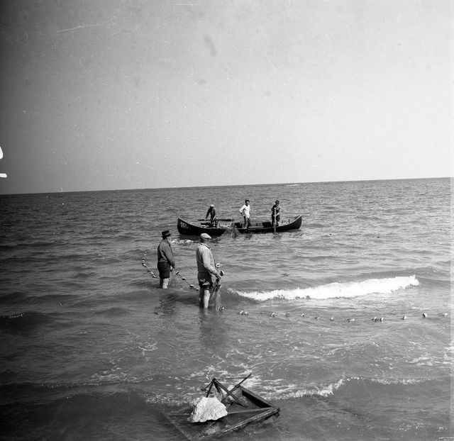 Tarmul N-are Sfarsit - Tarmul N-are Sfarsit 1962