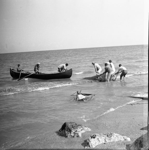 Tarmul N-are Sfarsit - Tarmul N-are Sfarsit 1962