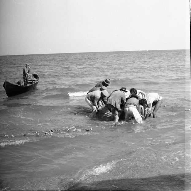 Tarmul N-are Sfarsit - Tarmul N-are Sfarsit 1962