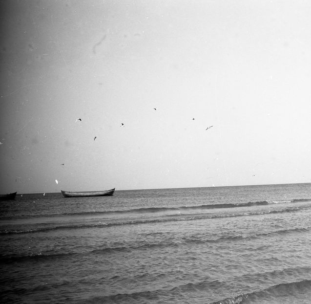 Tarmul N-are Sfarsit - Tarmul N-are Sfarsit 1962