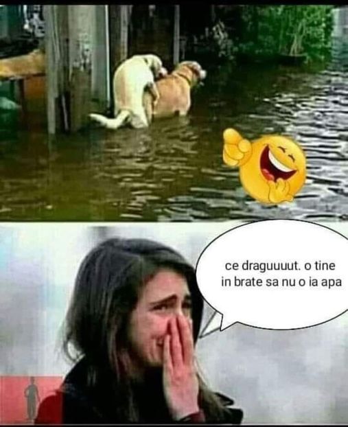  - Divertisment 4