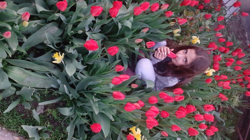  - Florii