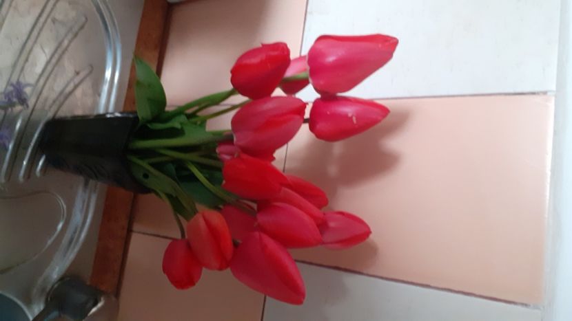  - Florii
