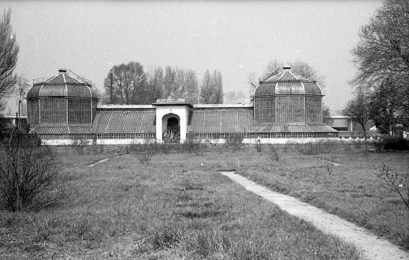 Cu Mainile Curate - Cu Mainile Curate 1972