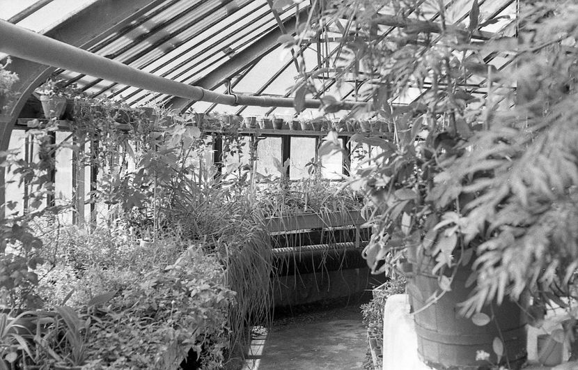 Cu Mainile Curate - Cu Mainile Curate 1972