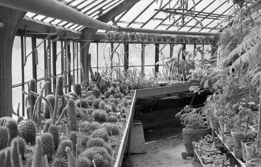 Cu Mainile Curate - Cu Mainile Curate 1972