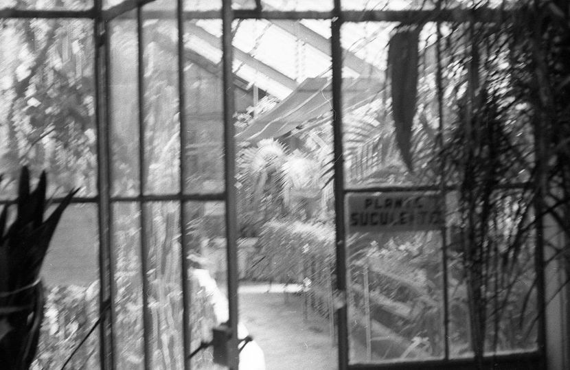 Cu Mainile Curate - Cu Mainile Curate 1972