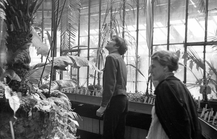 Cu Mainile Curate - Cu Mainile Curate 1972