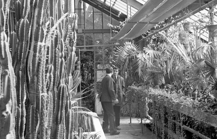 Cu Mainile Curate - Cu Mainile Curate 1972