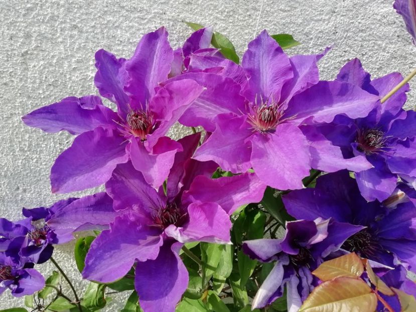 2021-15.05 - 19 The President