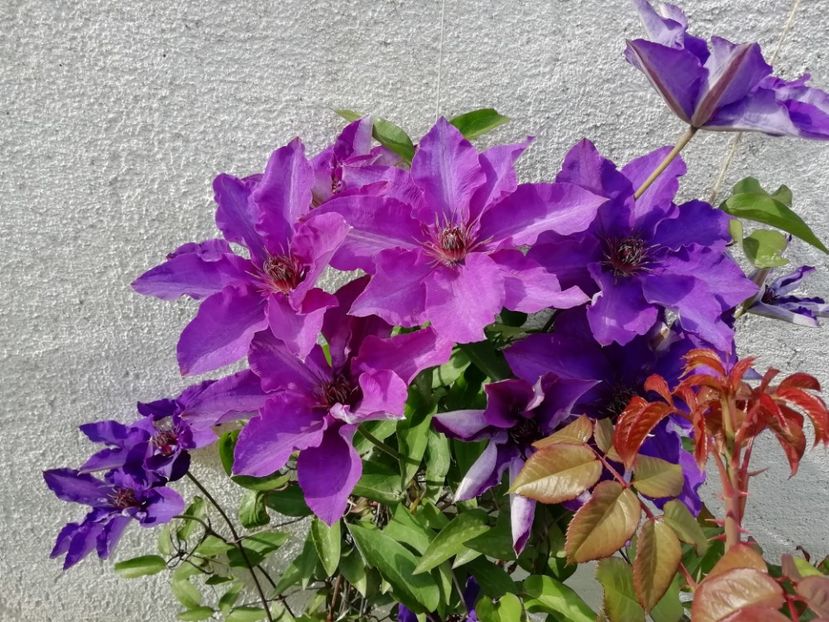 2021-15.05 - 19 The President