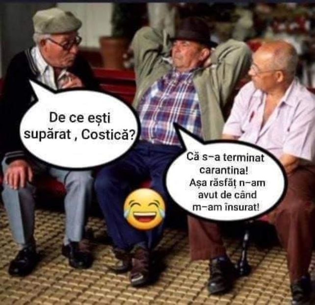  - Divertisment 4