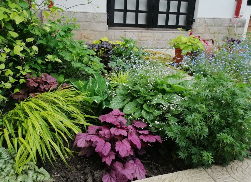  - 2021 feb martie aprilie mai