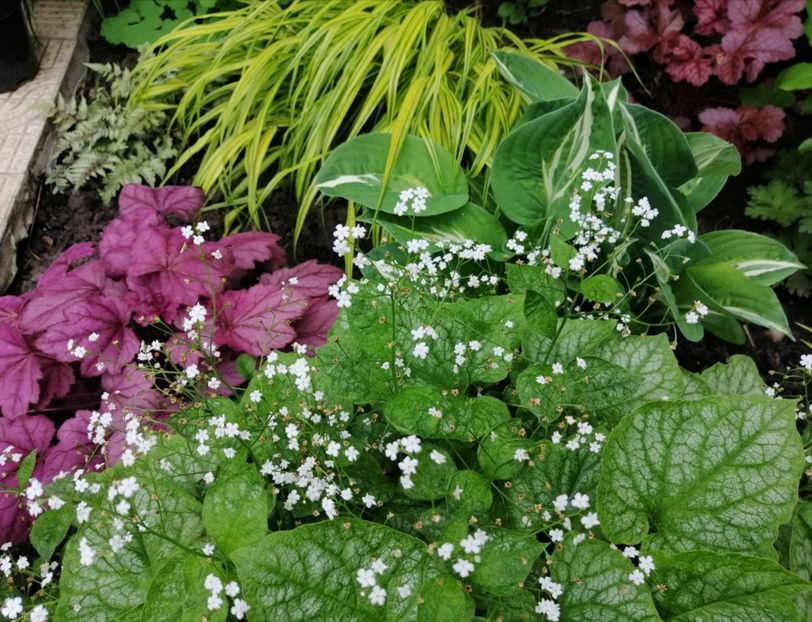  - 2021 feb martie aprilie mai