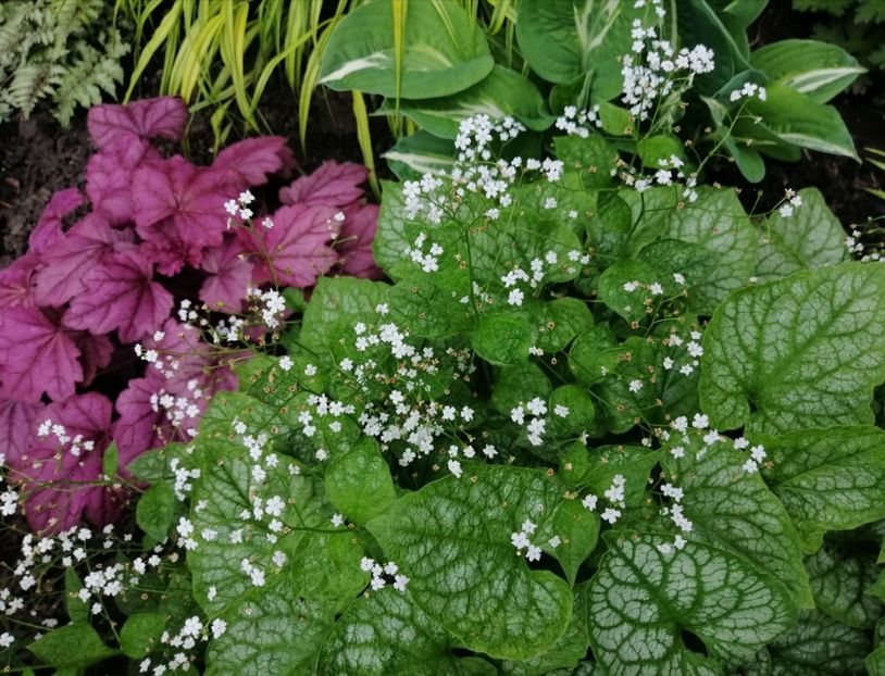  - 2021 feb martie aprilie mai