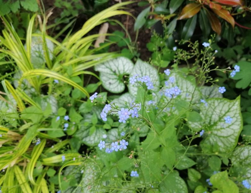  - 2021 feb martie aprilie mai