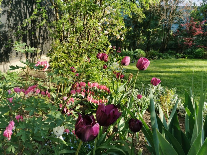  - Gradina 2021