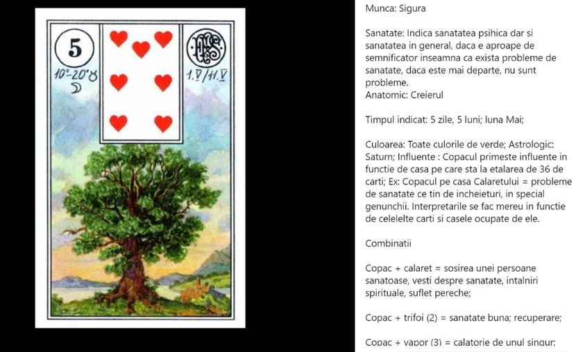 copac - Carti tarot lenoermand gratis cartea totul despre lenormand