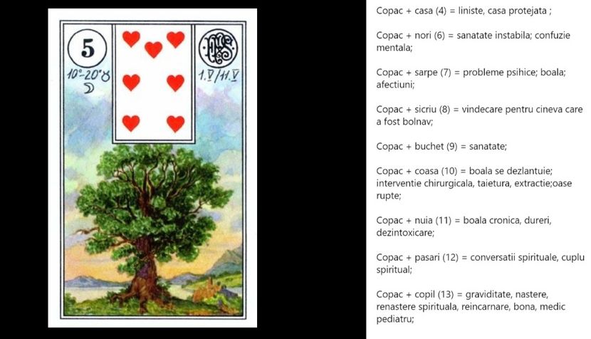 copac - Carti tarot lenoermand gratis cartea totul despre lenormand