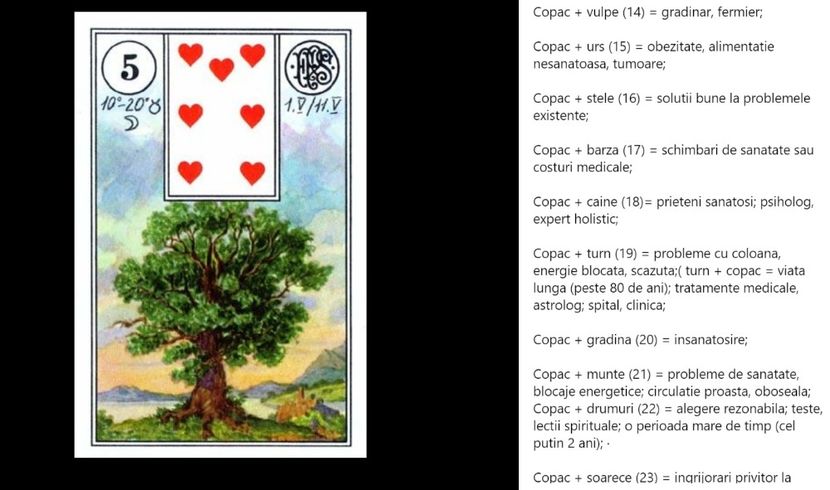 NewPicture4138 - Carti tarot lenoermand gratis cartea totul despre lenormand