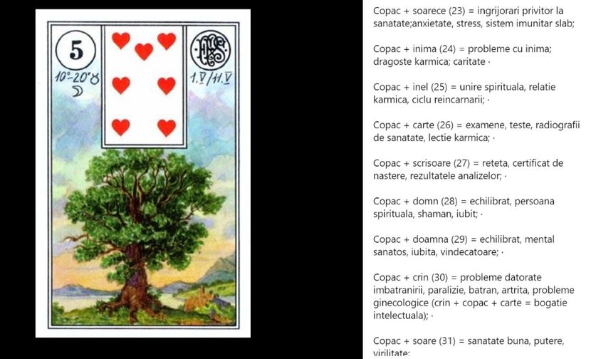 NewPicture4139 - Carti tarot lenoermand gratis cartea totul despre lenormand