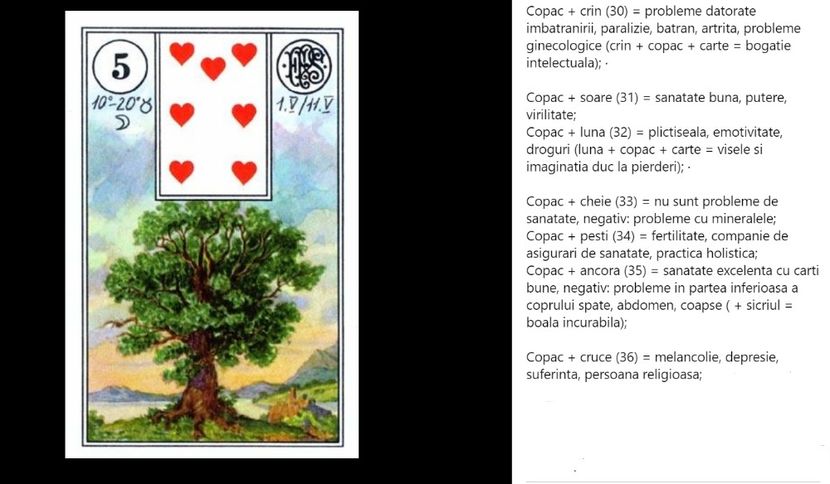 copac - Carti tarot lenoermand gratis cartea totul despre lenormand