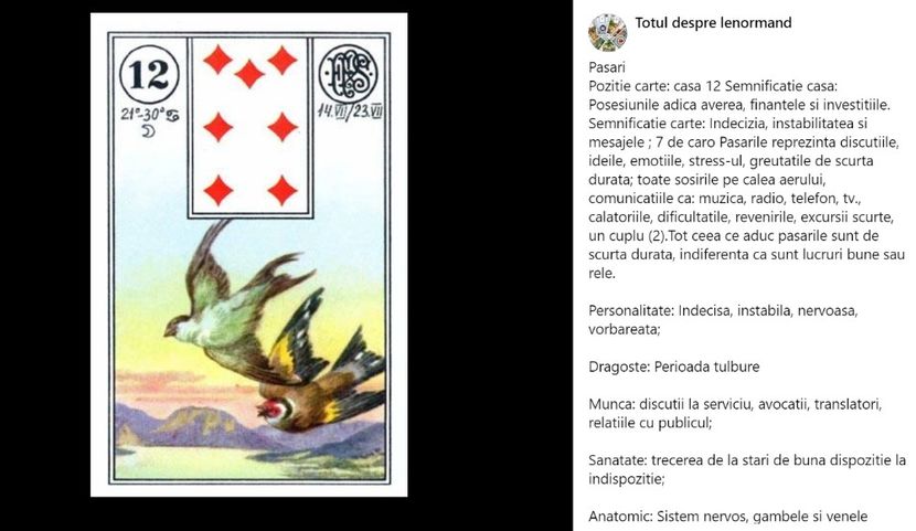 pasari - Carti tarot lenoermand gratis cartea totul despre lenormand