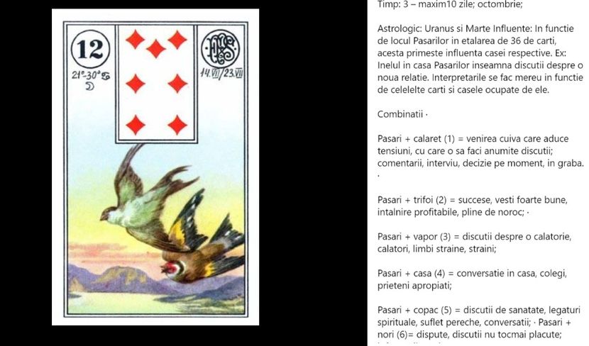 pasari - Carti tarot lenoermand gratis cartea totul despre lenormand