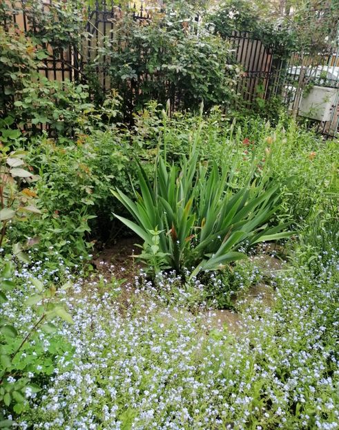  - 2021 feb martie aprilie mai