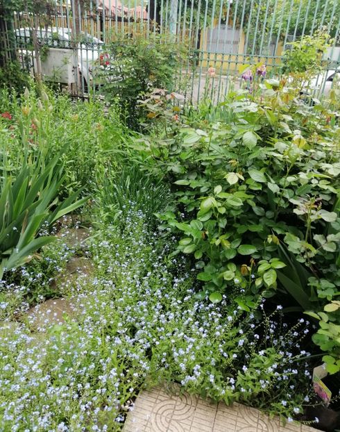  - 2021 feb martie aprilie mai