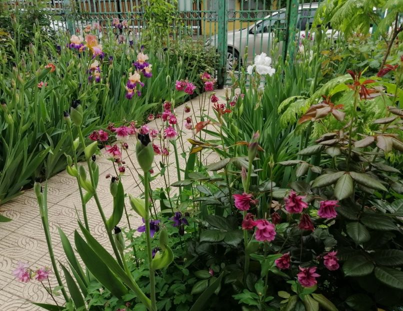  - 2021 feb martie aprilie mai